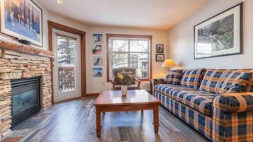 TV connectée, cheminée, lecteur de DVD