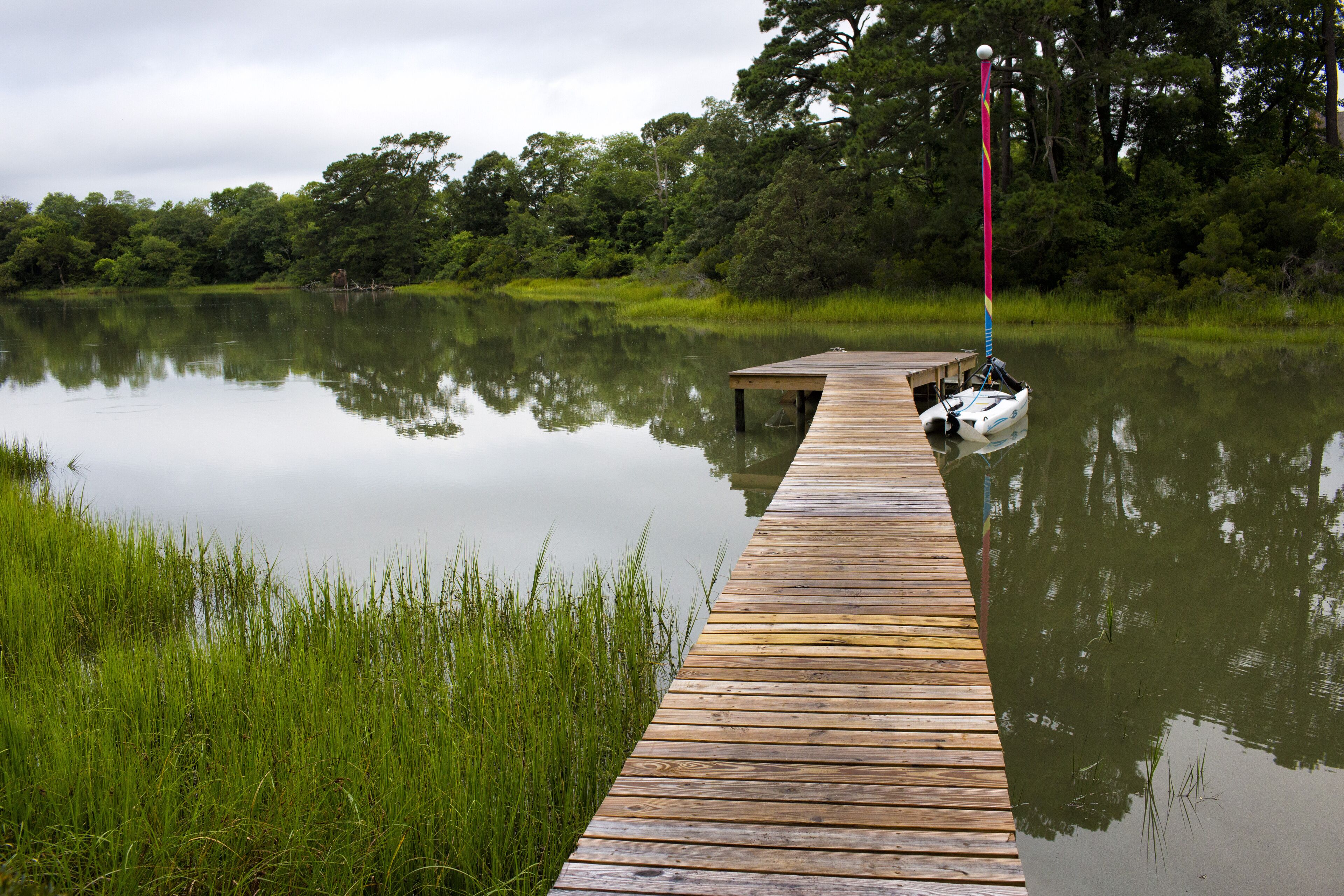 Un moll de fusta s'endinsa en un llac tranquil rodejat de vegetació abundant.