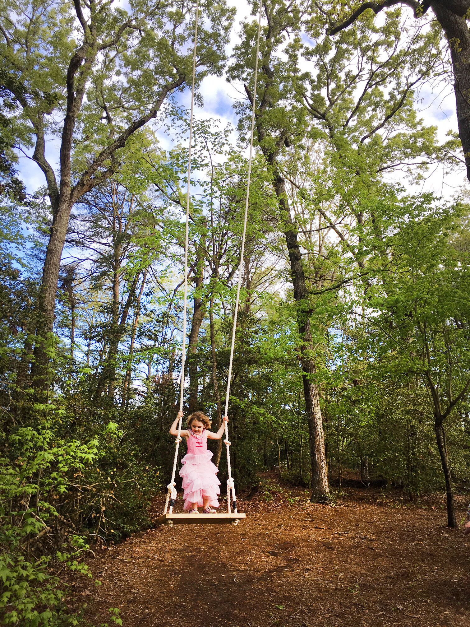 A child on a swing in a wooded area.