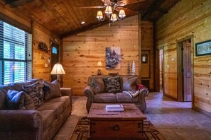 Smart TV, fireplace, DVD player, video library
