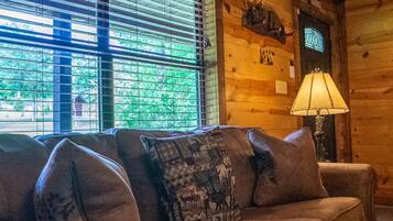 Smart TV, fireplace, DVD player, video library