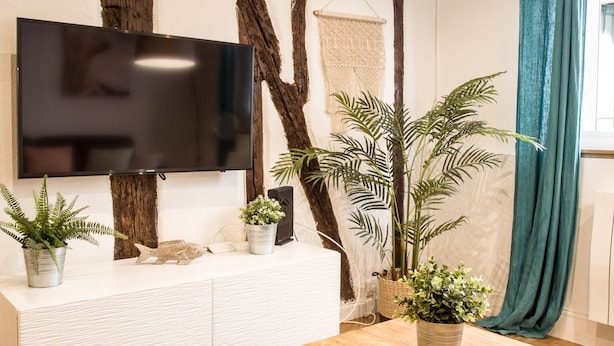 Una sala de estar moderna con un televisor de pantalla plana montado en la pared, un mueble de madera y varias plantas en macetas.