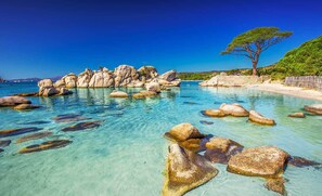 A coastal scene with clear turquoise water, large rocks, and a single tree on a sandy beach. - Spacieuse villa avec grand jardin clos, idéale pour familles et groupes d'amis. (Ghisonaccia)