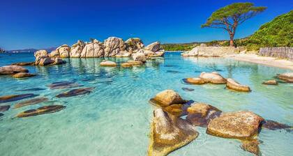 Spacieuse villa avec grand jardin clos, idéale pour familles et groupes d'amis.