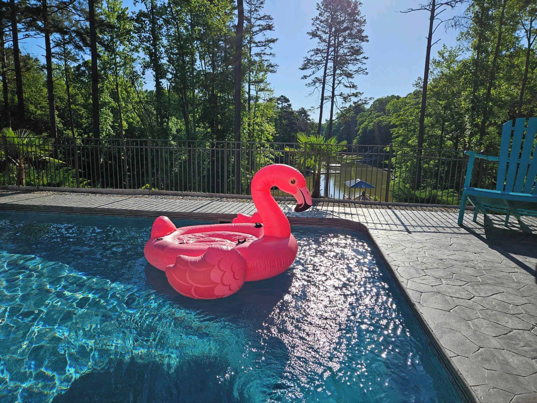 A swimming pool with a pink flamingo float.