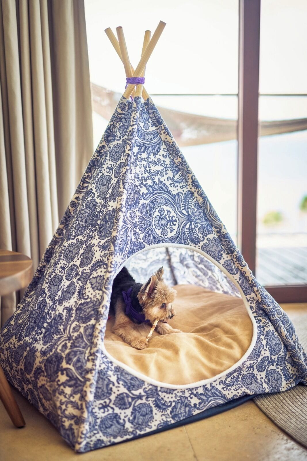 Una cama para mascotas estilo tipi, de patrón azul y blanco, con un perro en su interior, sobre un piso de madera cerca de una ventana con cortinas.