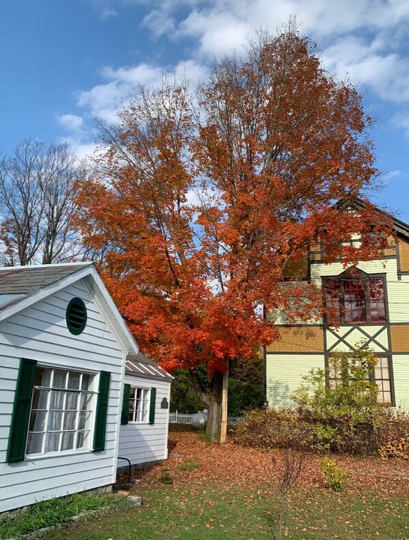 Traditional building with exposed beams, set amidst a well-manicured lawn and lush trees.