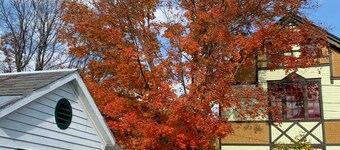 Comfy Cottage in Historic East Poultney