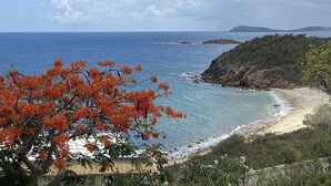 A coastal landscape with a beach, rocky terrain, and a tree with orange leaves. - Ocean View, Spacious Condo next to Pool (St Thomas)