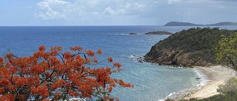 Perto da praia, espreguiçadeiras, toalhas de praia