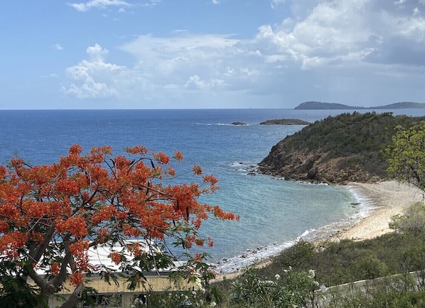 Beach nearby, sun loungers, beach towels