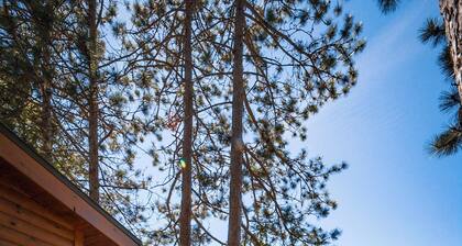 'Water's Edge' 2 bedroom cottage overhanging the lake