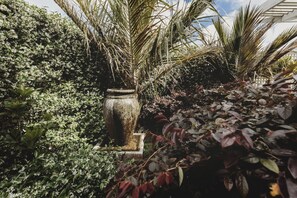 Àrea exterior de l'allotjament