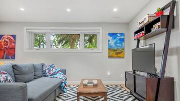 Smart TV, Netflix, books, streaming services