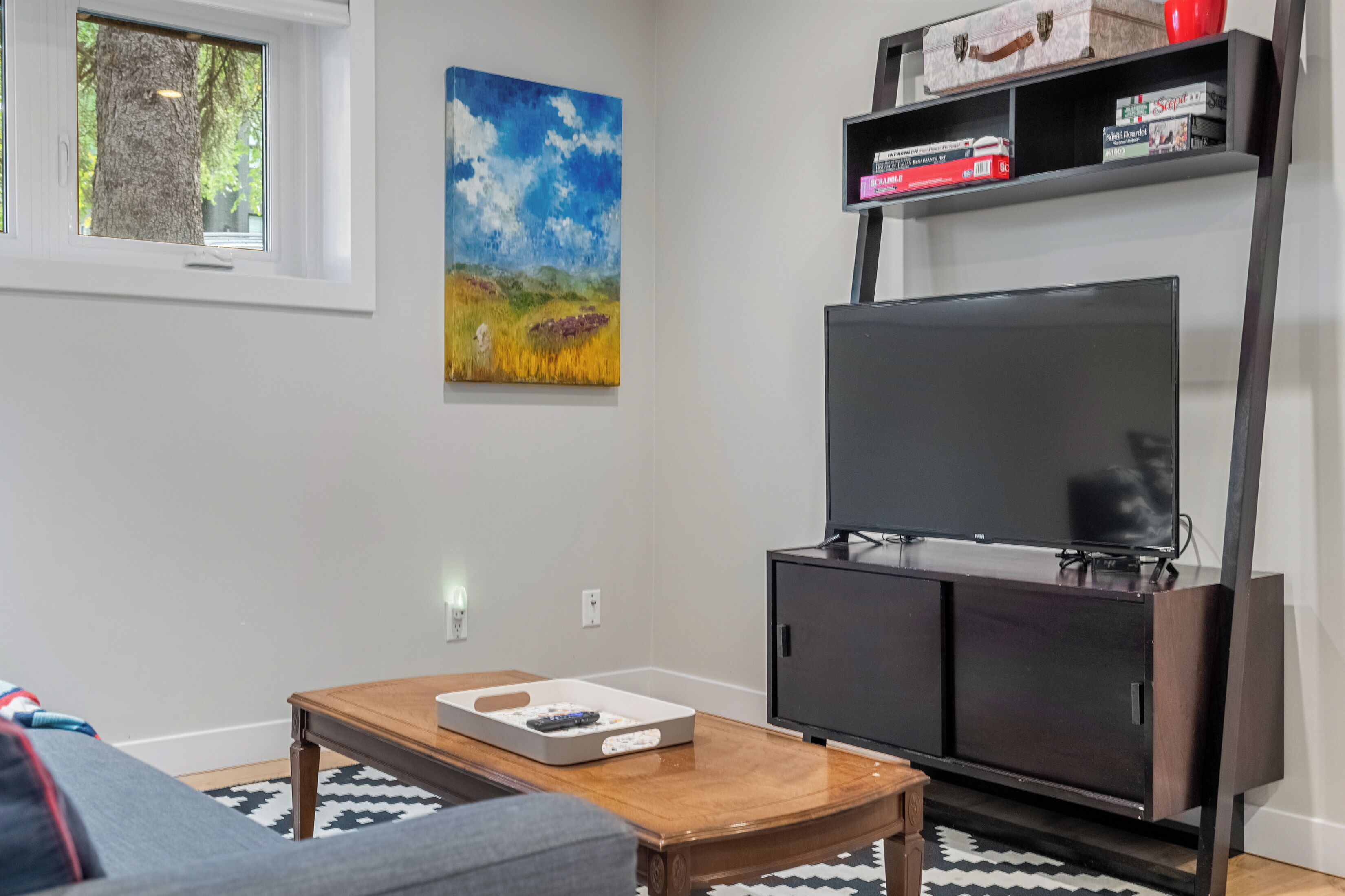 Smart TV, Netflix, books, streaming services