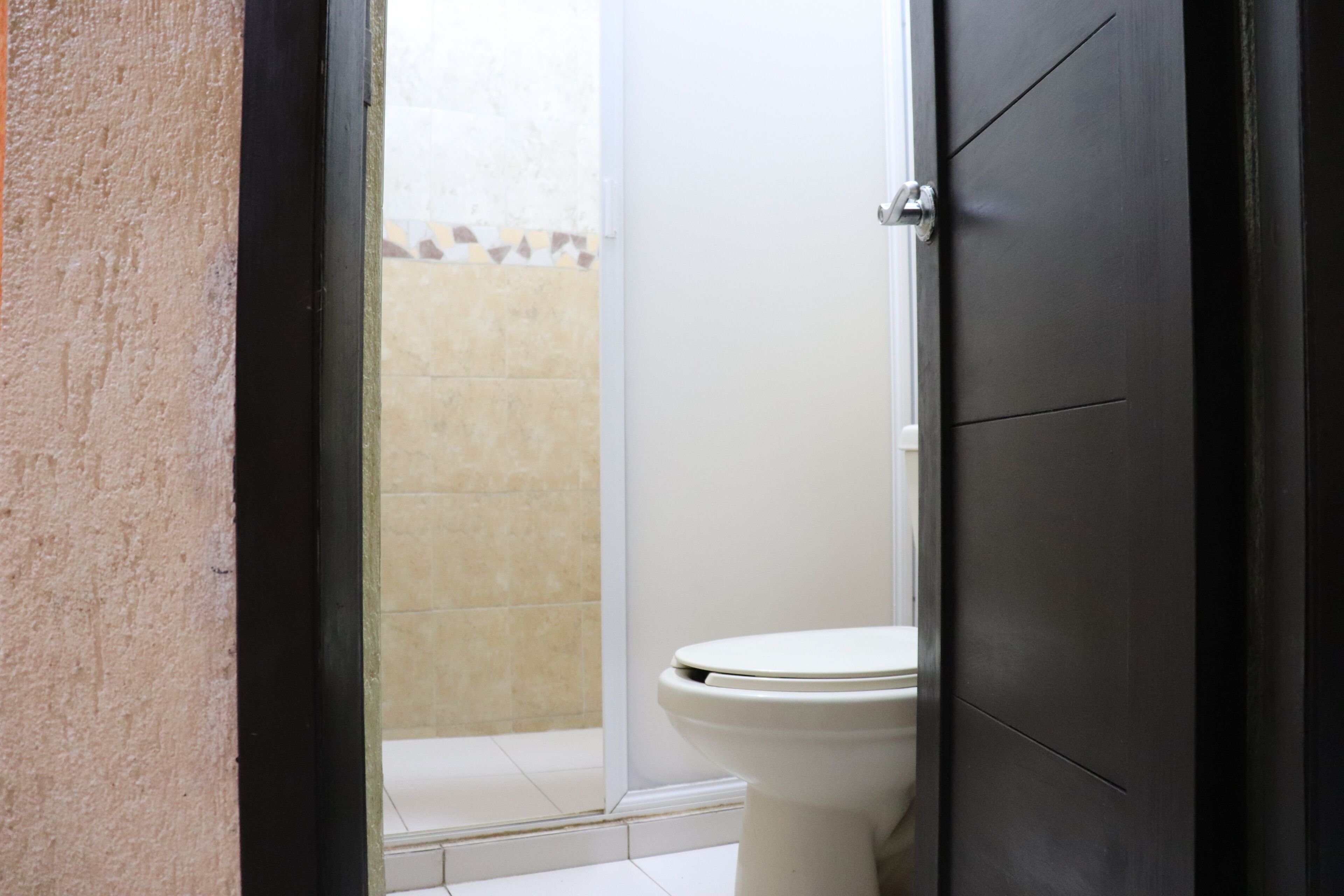 Shower, soap, shampoo, toilet paper