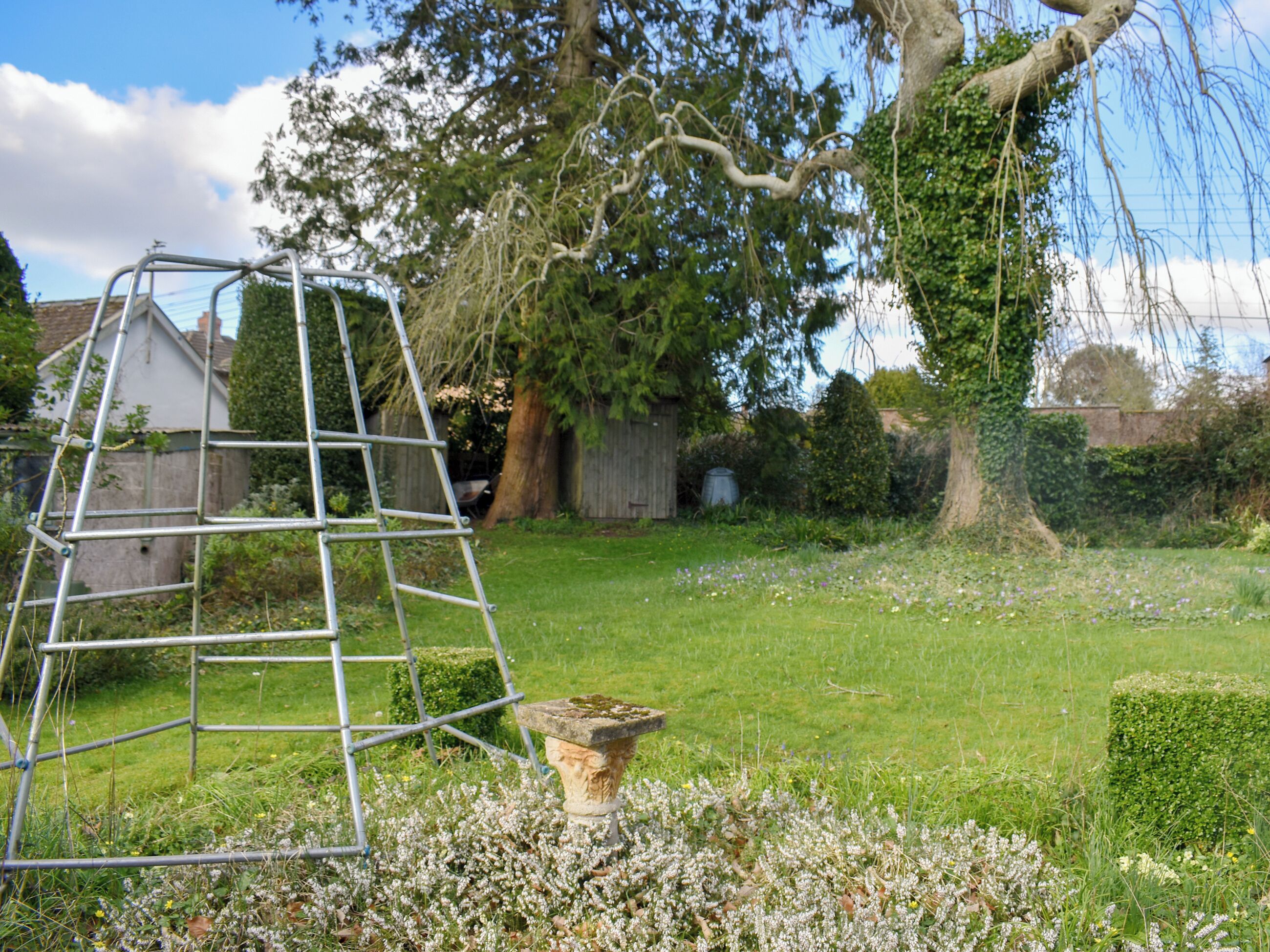 A garden with a metal ladder, a stone planter, and a hedge.