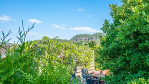 A patio area with a table and chairs, surrounded by lush greenery and flowering plants.