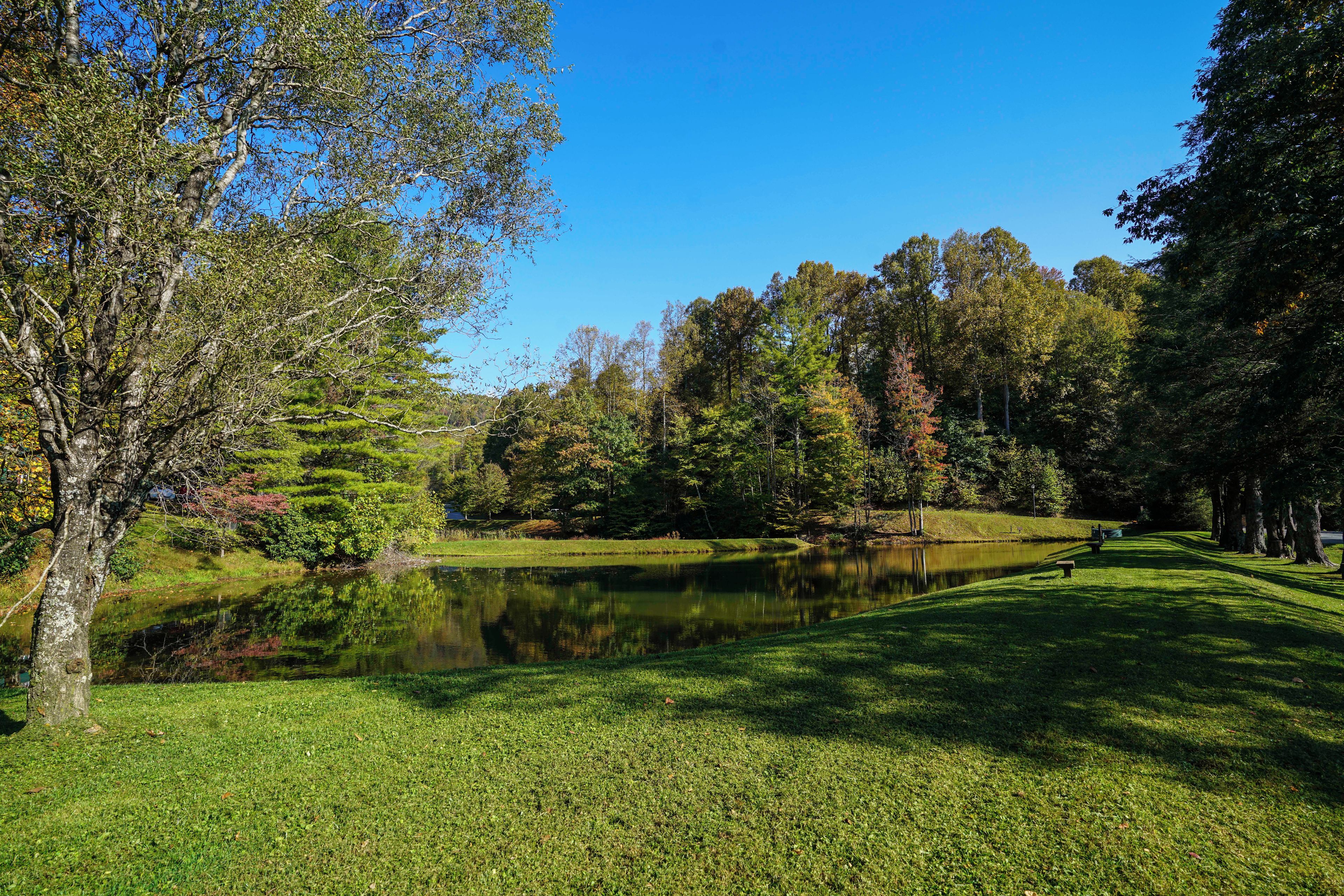 A serene pond surrounded by lush lawns and towering trees creates a peaceful natural setting on the property grounds.