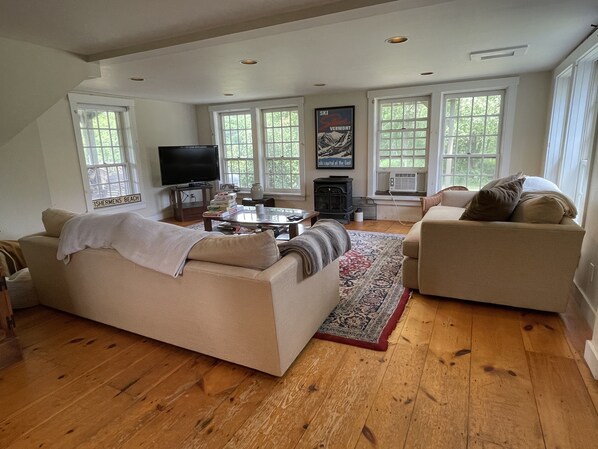 TV, fireplace, video games, DVD player