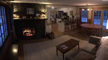 Télévision, cheminée, jeux vidéo, lecteur de DVD