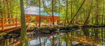 Cabin in the Woods