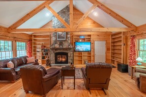 Smart TV, fireplace, video games, books