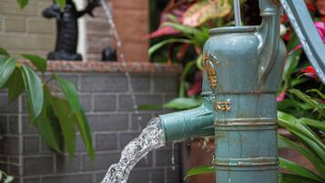 A water spout with water flowing from it, set against a brick wall and surrounded by greenery.