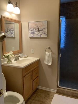 A bathroom with a sink, mirror, and toilet. There are two framed paintings on the wall, a towel rack, and a shower with a glass door. - Charming garden cottage downtown Ellison Bay walking distance to lake and shops (Ellison Bay)