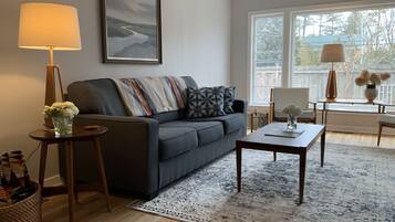 TV, fireplace, books