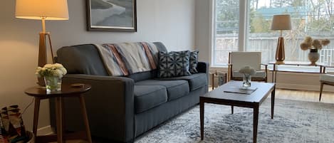 TV, fireplace, books