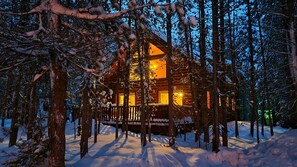 Una cabaña de troncos rodeada de árboles cubiertos de nieve.