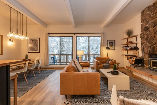 TV, fireplace, books, stereo