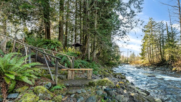 Un cadre naturel en plein air avec un pont en bois, un banc et une rivière.