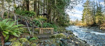 Wallace River Retreat: Magical wooded acreage