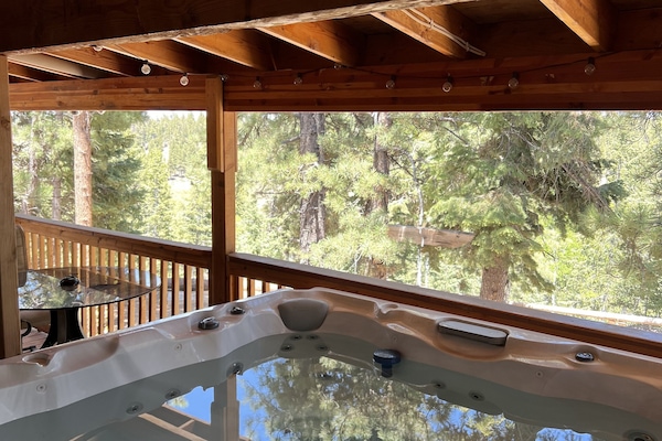 7-8 person hot tub (back deck)