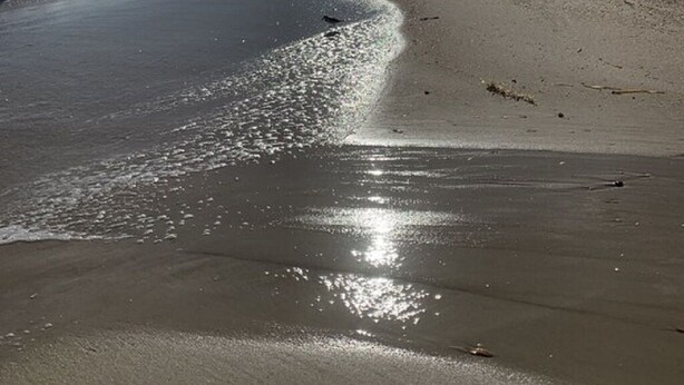 A beach with a clear sky and sunlight reflecting on the sand. - Affordable 2 bed, 1.5 bath Beach views. Hot tub, Pet friendly, fenced back yard. (Saint George Island)