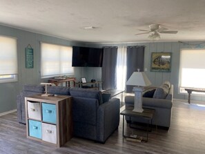 Smart TV, DVD player, books, video library