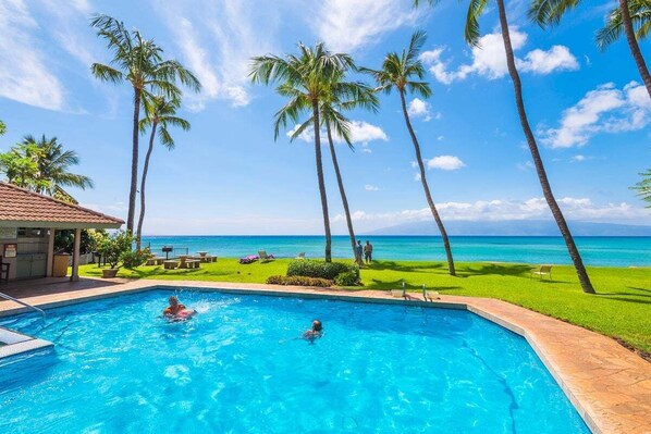 Outdoor pool - HM A207 Spacious OceanFront 1BD w Ocean View (Lahaina)