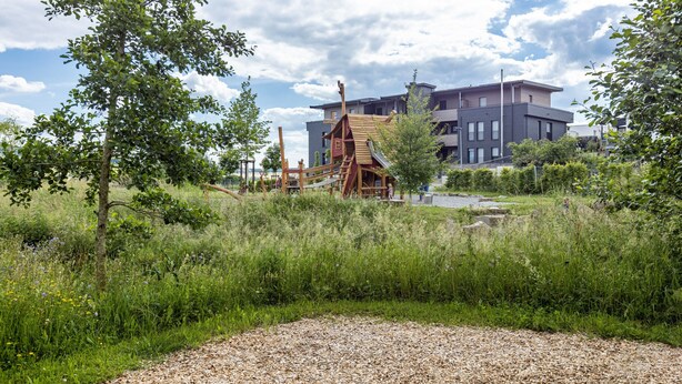 A playground with climbing structures and a building with multiple windows in the background.