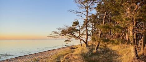 Beach nearby