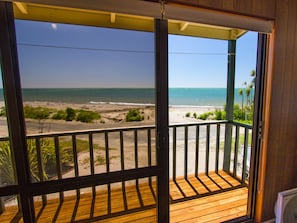 Property grounds - Tidal Treasure - Collingwood Holiday Home (Collingwood)