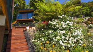 Ein modernes Haus mit einer Holterrasse, einem Wintergarten aus Glas und einem üppigen Garten mit weißen und gelben Blumen.