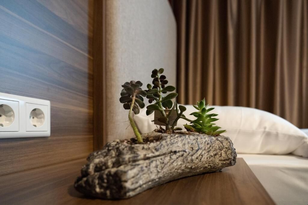 minibar, desk, free wifi, bed sheets