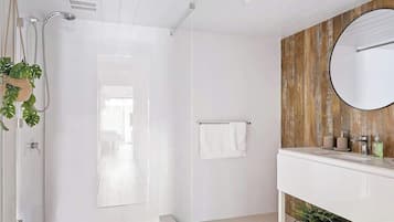 Shower, hair dryer