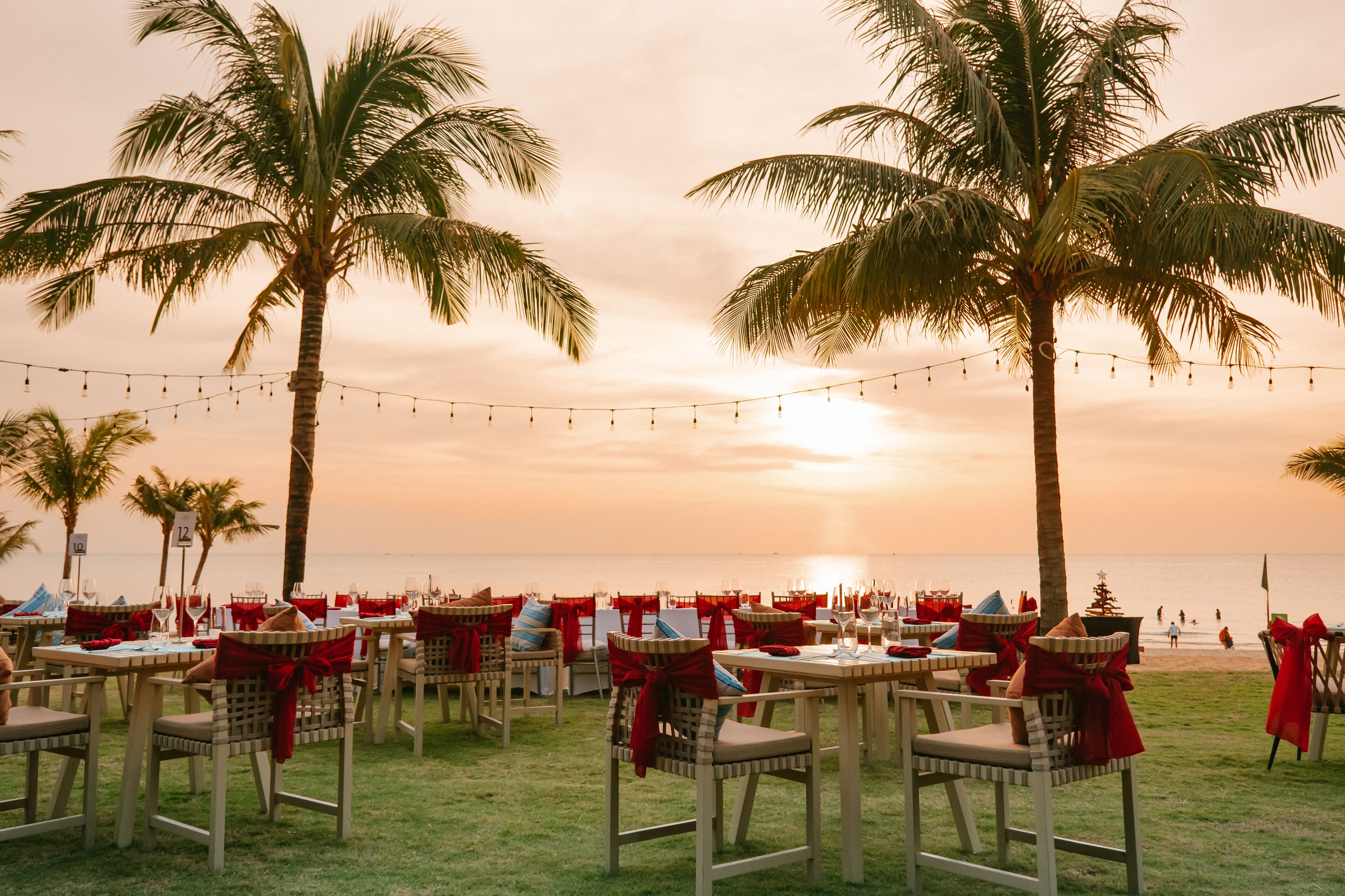 Un restaurant situé en bord de mer, avec une terrasse, des palmiers et des guirlandes lumineuses.