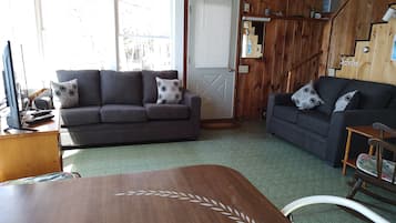 TV connectée, cheminée, lecteur de DVD, chaßne hi-fi