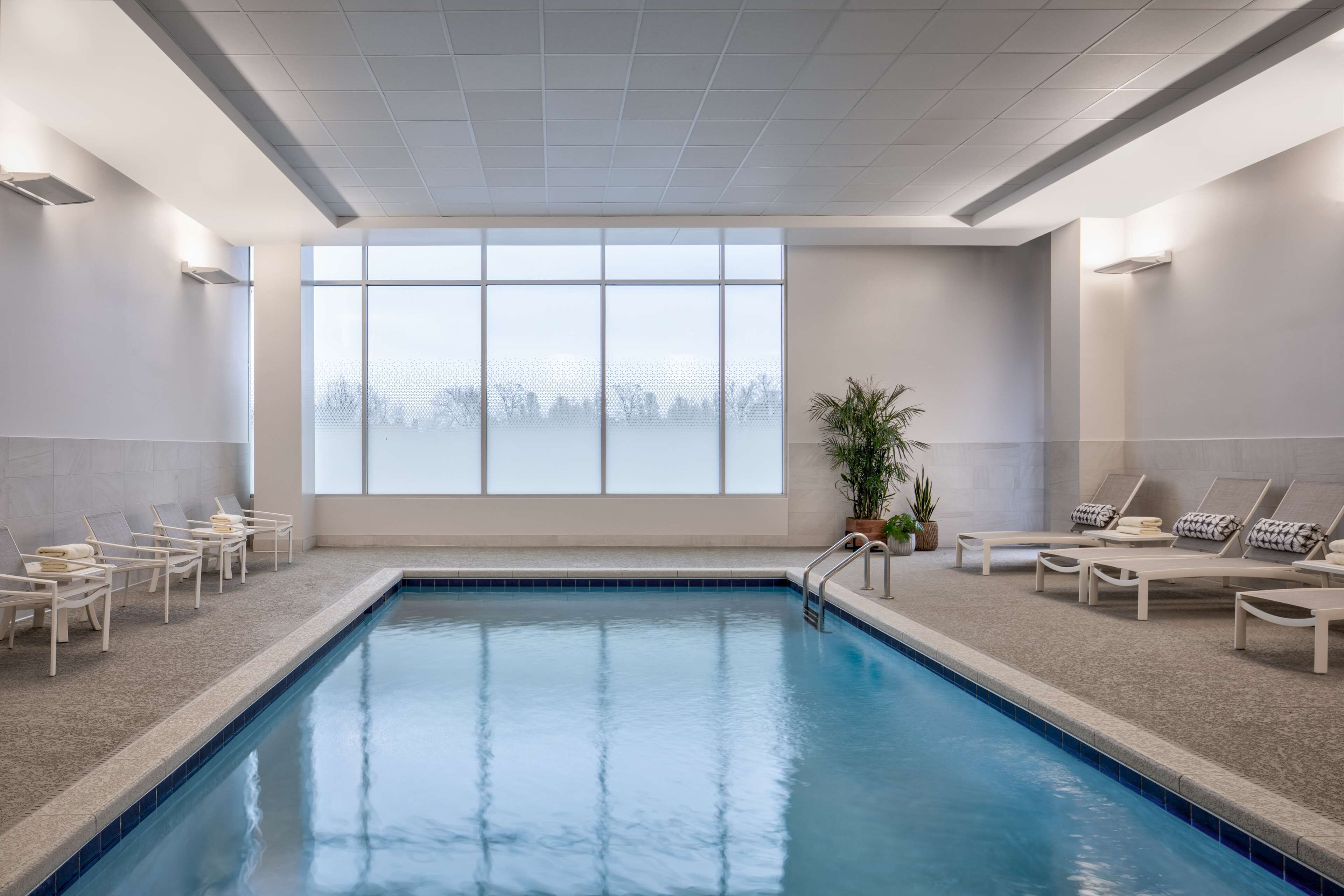 Indoor pool, sun loungers