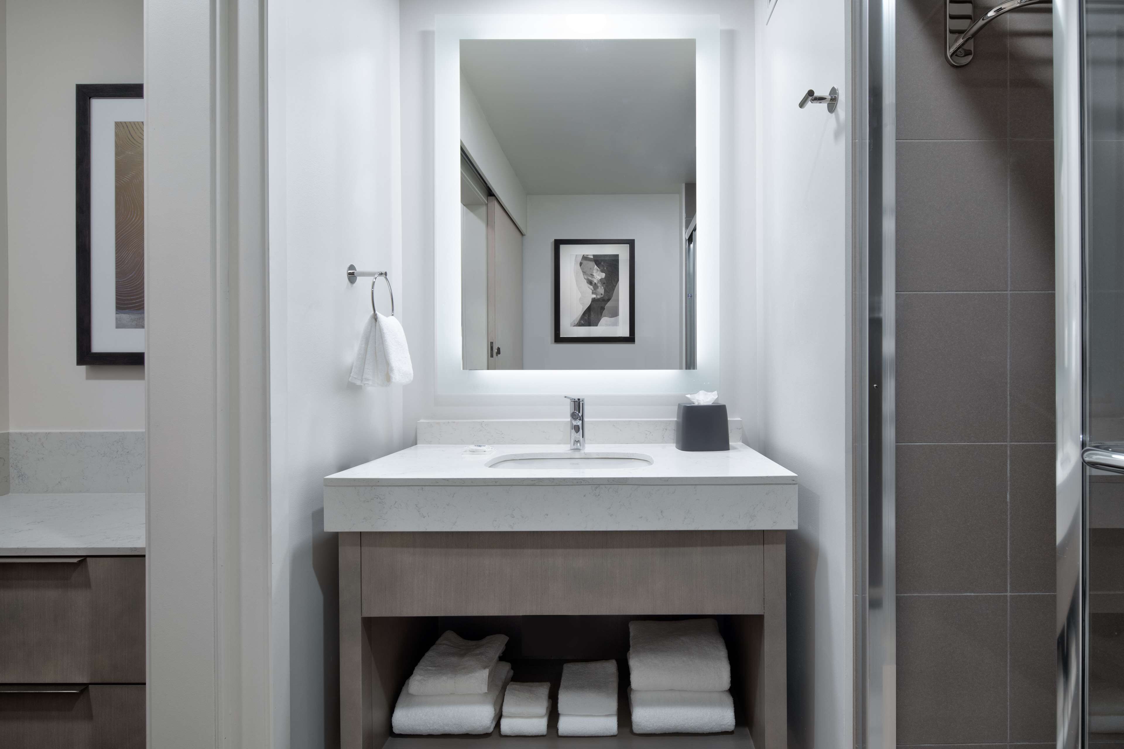 rainfall showerhead, hair dryer, towels