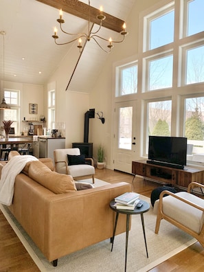TV, fireplace, video game console, Netflix